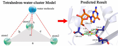 Statistical Analysis, Investigation, and Prediction of the Water Positions